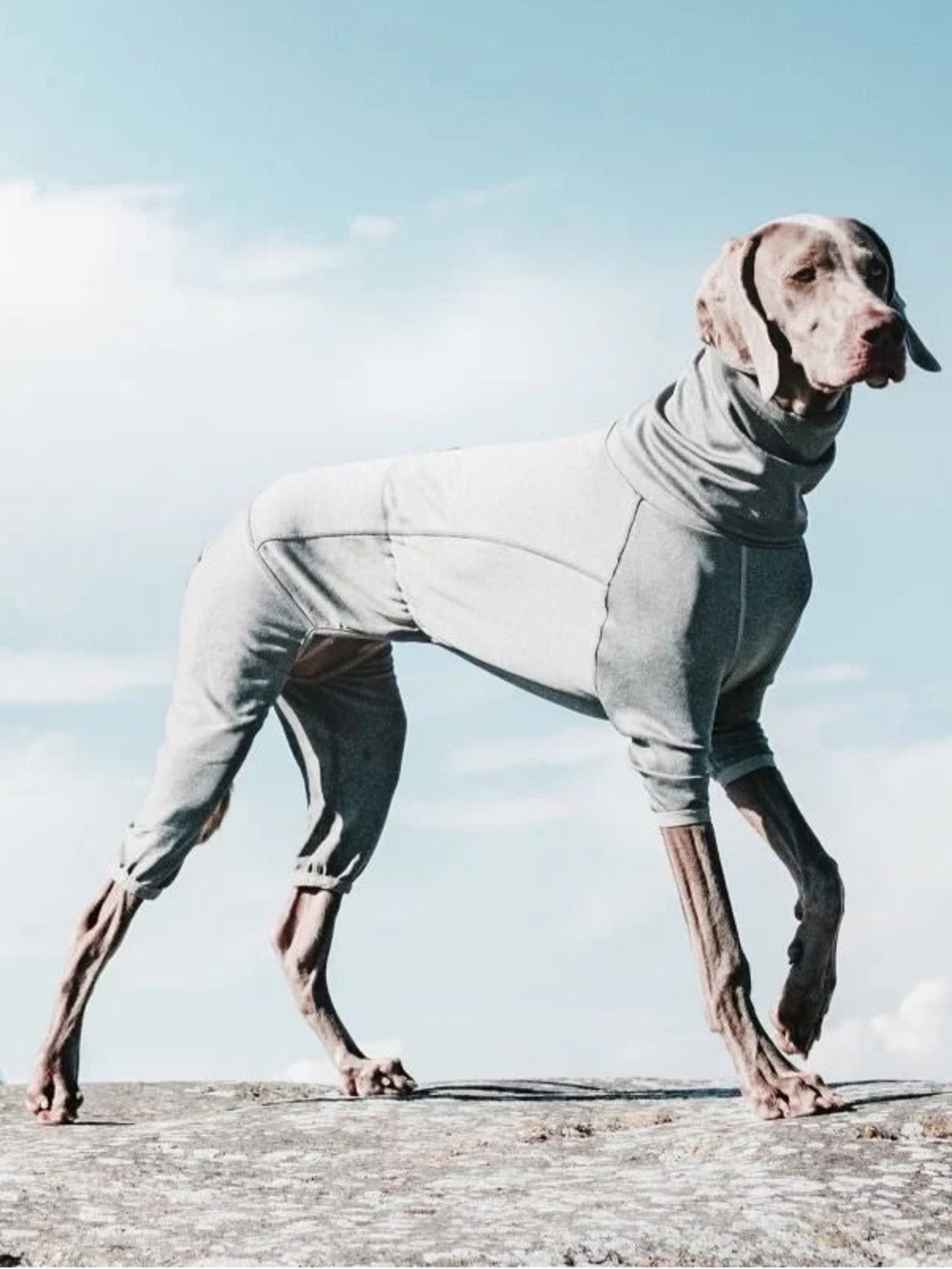 BRAND NEW Hurtta Carbon Grey Full-Body Warmer Dog Hoodie Jumpsuit 45M(cm)18M(in)